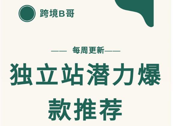 【跨境B哥】独立站潜力爆款选品推荐，测款出单率高达百分之80（每周更新）-冰妍网