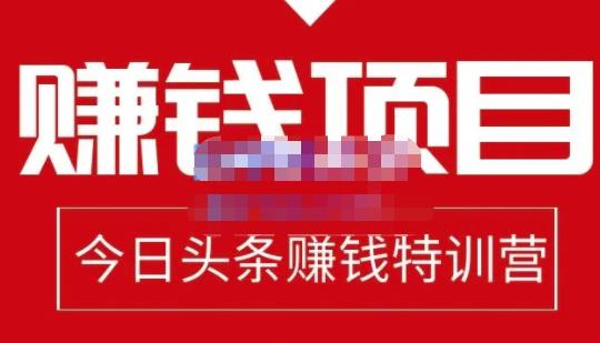 今日头条项目玩法，头条中视频项目，单号收益在50—500可批量-冰妍网