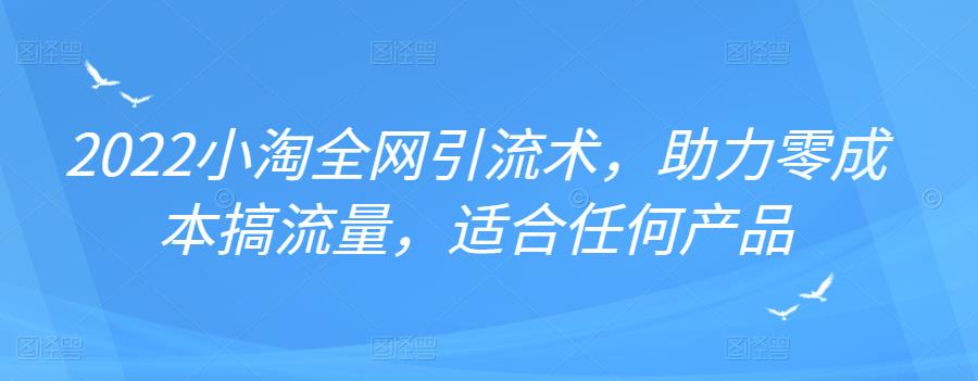 2022年小淘全网引流术，助力零成本搞流量，适合任何产品-冰妍网