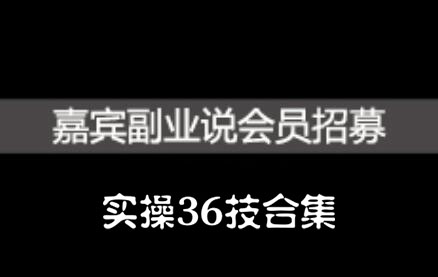 嘉宾副业说实操36技合集，价值1380元-冰妍网