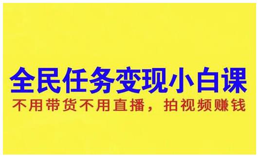 抖音全民任务变现小白课，不用带货不用直播，拍视频就能赚钱-冰妍网