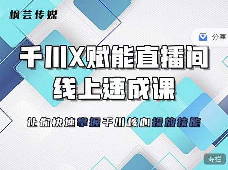 枫芸传媒-线上千川提升课，提升千川认知，提升千川投放效果-冰妍网