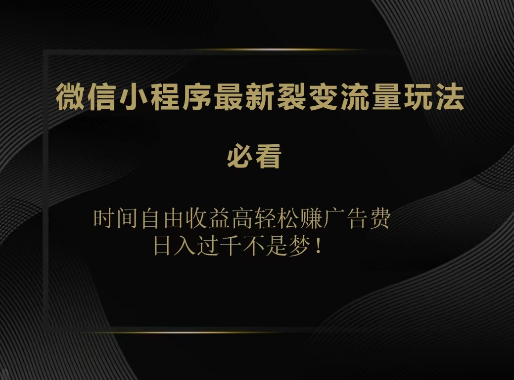 微信小程序最新裂变流量玩法，时间自由收益高轻松赚广告费，日入200-500+-冰妍网