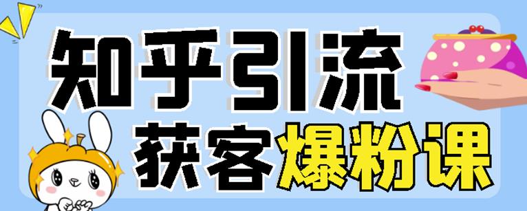 2022船长知乎引流+无脑爆粉技术：每一篇都是爆款，不吹牛，引流效果杠杠的-冰妍网