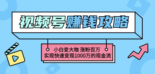 玩转微信视频号赚钱：小白变大咖涨粉百万实现快速变现1000万的现金流-冰妍网