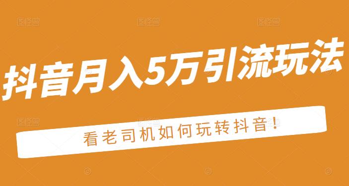 老古董·抖音月入5万引流玩法，看看老司机如何玩转抖音(附赠：抖音另类引流思路)-冰妍网