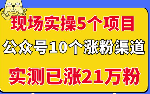 现场实操5个公众号项目，10个涨粉渠道，实测已涨21万粉！-冰妍网