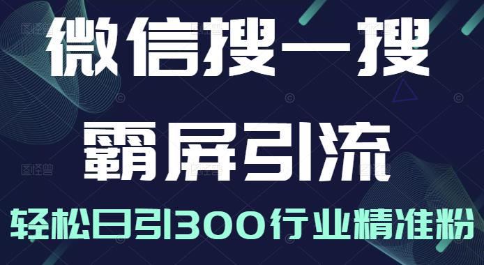 微信搜一搜霸屏引流课，打造被动精准引流系统，轻松日引300行业精准粉【无水印】-冰妍网