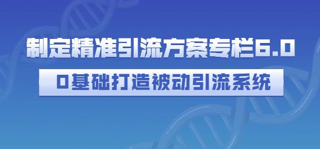 制定精准引流方案专栏6.0，0基础打造被动引流系统-冰妍网