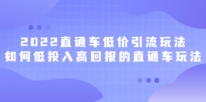 2022直通车低价引流玩法，教大家如何低投入高回报的直通车玩法-冰妍网