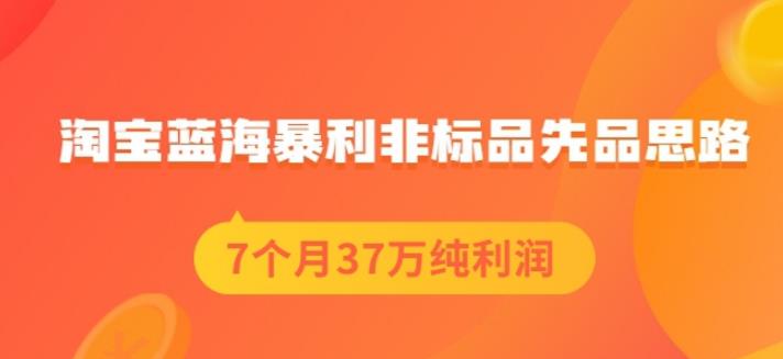 盗坤淘宝蓝海暴利非标品先品思路，7个月37万纯利润，压箱干货分享！【付费文章】-冰妍网