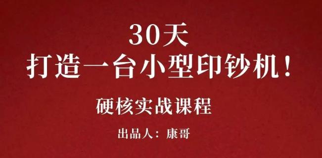 康哥30天打造一台小型印钞机：躺赚30万的项目完整复盘（视频教程）-冰妍网