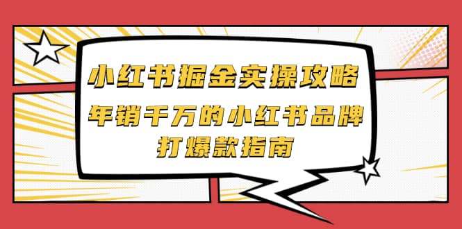 小红书掘金实操攻略，年销千万的小红书品牌打爆款指南-冰妍网