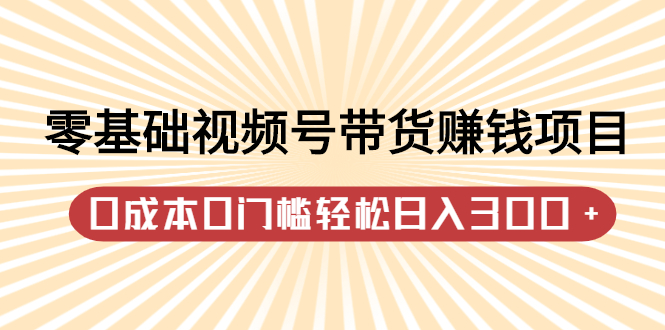 零基础视频号带货赚钱项目，0成本0门槛轻松日入300+【视频教程】-冰妍网