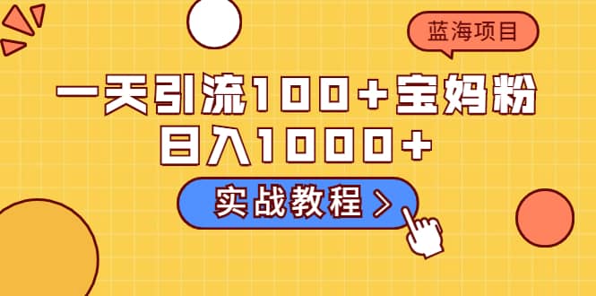 一天引流100+宝妈粉，日入1000+的蓝海项目（实战教程）-冰妍网