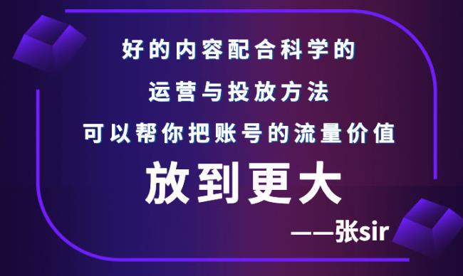 张sir账号流量增长课，告别海王流量，让你的流量更精准-冰妍网