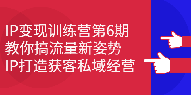 IP变现训练营第6期：教你搞流量新姿势，IP打造获客私域经营-冰妍网