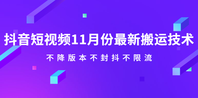 抖音短视频11月份最新搬运技术，不降版本不封抖不限流！【视频课程】-冰妍网