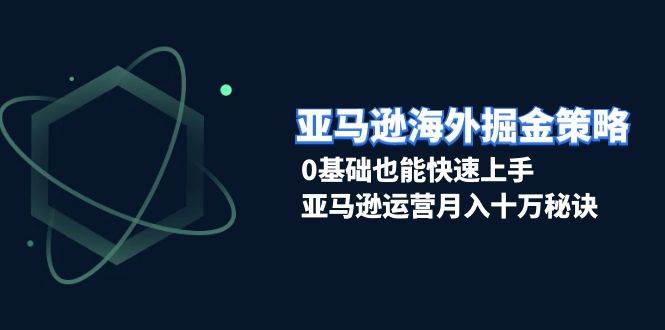 亚马逊海外掘金策略，0基础也能快速上手，亚马逊运营月入十万秘诀-冰妍网