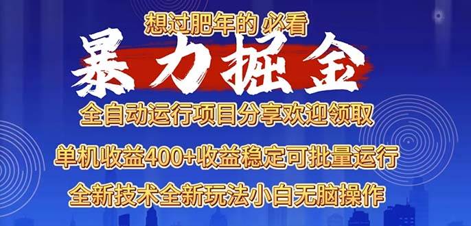 2025暴力掘金项目，想过肥年必看！-冰妍网