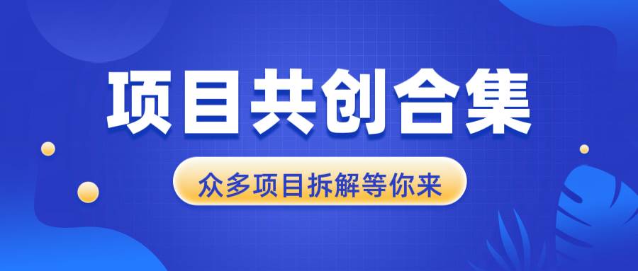 项目共创合集，从0-1全过程拆解，让你迅速找到适合自已的项目-冰妍网