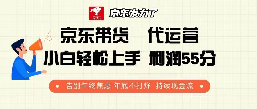 京东带货 代运营 利润55分 告别年终焦虑 年底不打烊 持续现金流-冰妍网