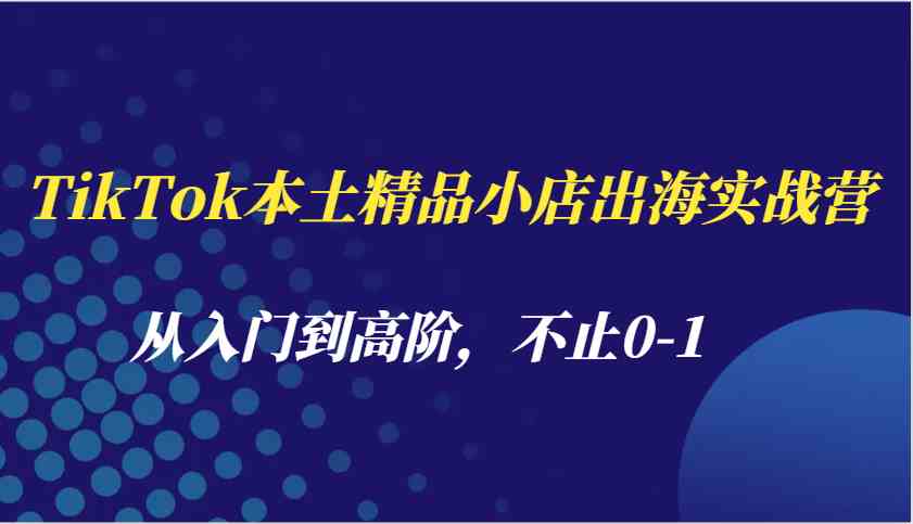 TikTok本土精品小店出海实战营，从入门到高阶，不止0-1-冰妍网