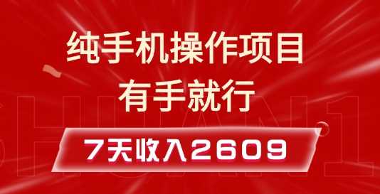 纯手机操作的小项目，有手就能做，7天收入2609+实操教程【揭秘】-冰妍网