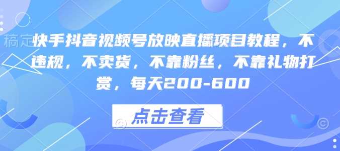 快手抖音视频号放映直播项目教程，不违规，不卖货，不靠粉丝，不靠礼物打赏，每天200-600-冰妍网