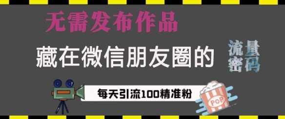 藏在微信朋友圈的流量密码，无需发布作品，单日引流100+精准创业粉【揭秘】-冰妍网