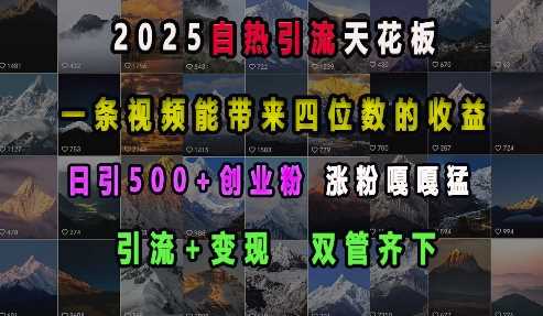 2025自热引流天花板，一条视频能带来四位数的收益，引流+变现双管齐下，日引500+创业粉，涨粉嘎嘎猛-冰妍网