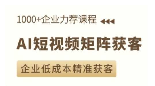 AI短视频矩阵获客实操课，企业低成本精准获客-冰妍网