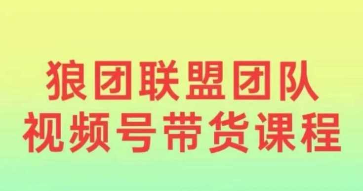 狼团联盟2024视频号带货，0基础小白快速入局视频号-冰妍网