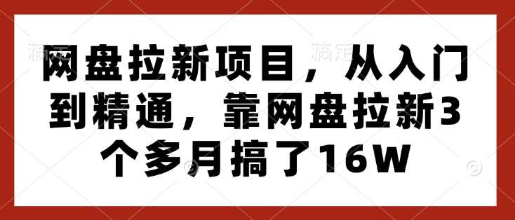 网盘拉新项目，从入门到精通，靠网盘拉新3个多月搞了16W-冰妍网