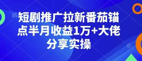 短剧推广拉新番茄锚点半月收益1万+大佬分享实操-冰妍网