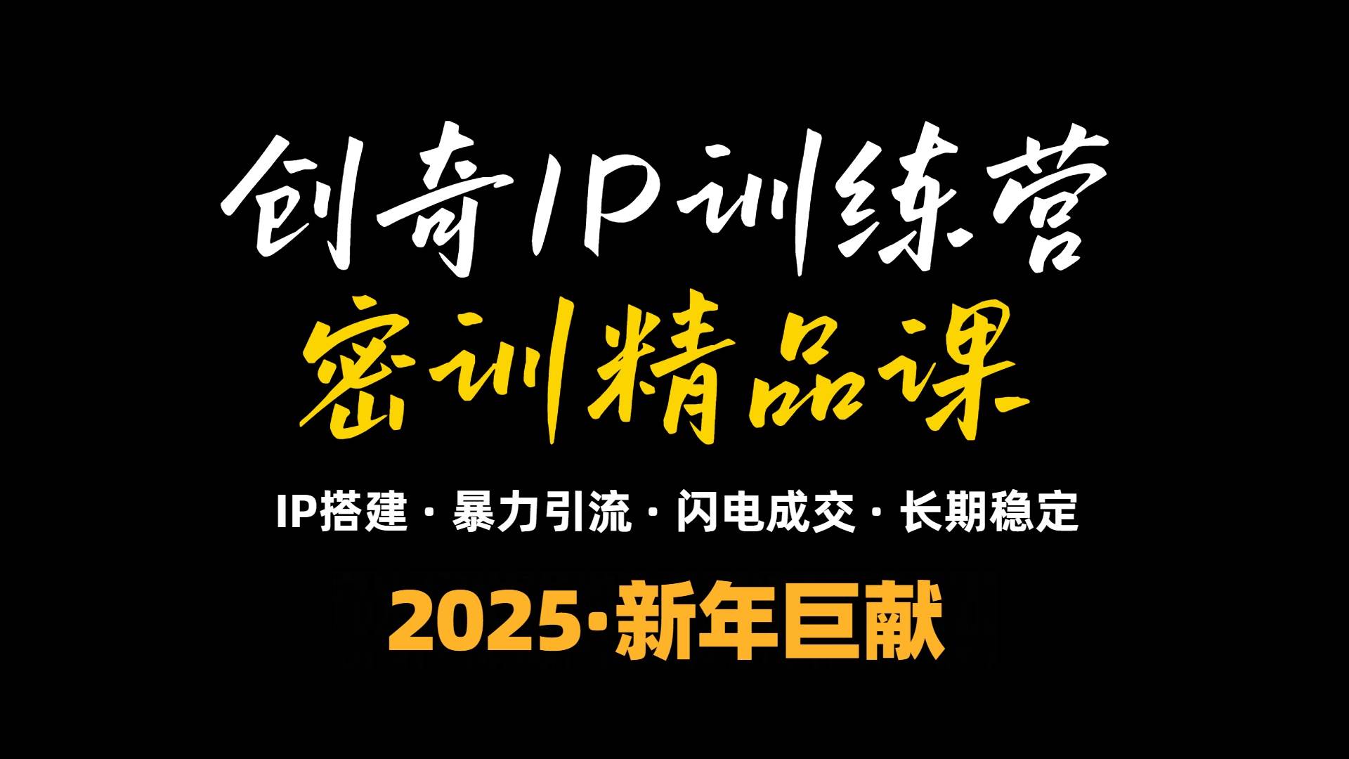 2025年“知识付费IP训练营”小白避坑年赚百万，暴力引流，闪电成交-冰妍网