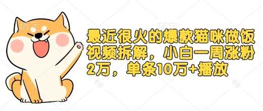 最近很火的爆款猫咪做饭视频拆解，小白一周涨粉2万，单条10万+播放(附保姆级教程)-冰妍网