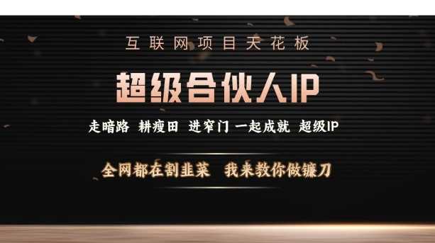 互联网项目天花板，超级合伙人IP，全网都在割韭菜，我来教你做镰刀【仅揭秘】-冰妍网