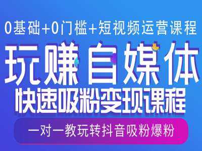 0基础+0门槛+短视频运营课程，玩赚自媒体快速吸粉变现课程，一对一教玩转抖音吸粉爆粉-冰妍网