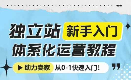 独立站新手入门体系化运营教程，助力独立站卖家从0-1快速入门!-冰妍网