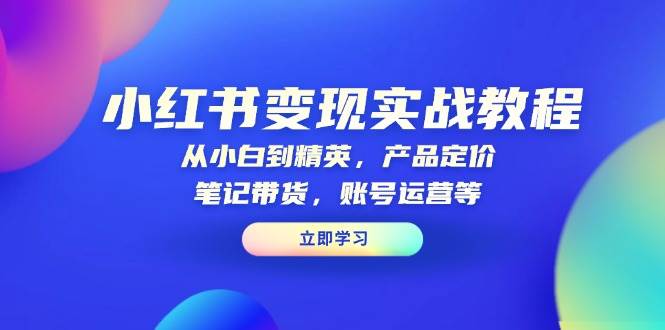 小红书变现实战教程：从小白到精英，产品定价，笔记带货，账号运营等-冰妍网