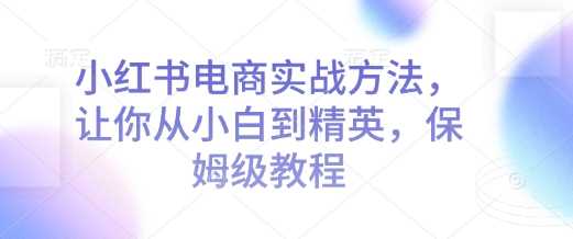 小红书电商实战方法，让你从小白到精英，保姆级教程-冰妍网