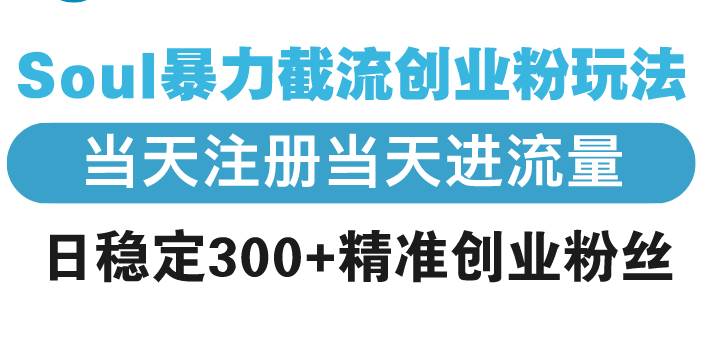 Soul暴力截流创业粉玩法，当天注册当天进流量，日稳定300+精准创业粉丝-冰妍网