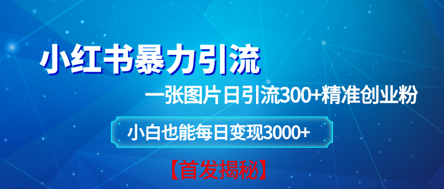 小红书暴力引流法，一张图片日引 300+精准创业粉，每日稳定变现 3000+【揭秘】-冰妍网