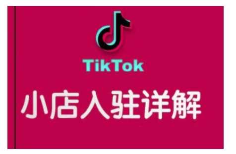 TikTok跨境小店运营全攻略，帮助你独立运营TK跨境小店的能力，实现销量增长-冰妍网