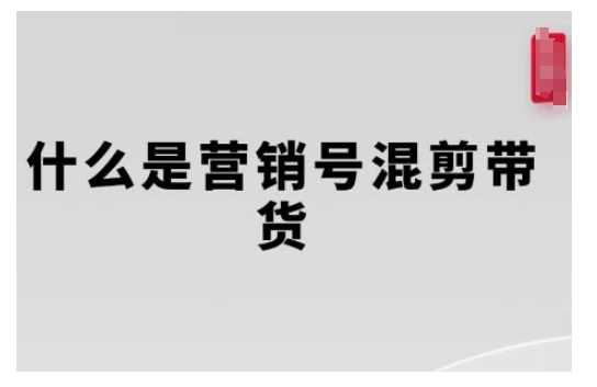 营销号混剪带货，从内容创作到流量变现的全流程，教你用营销号形式做混剪带货-冰妍网