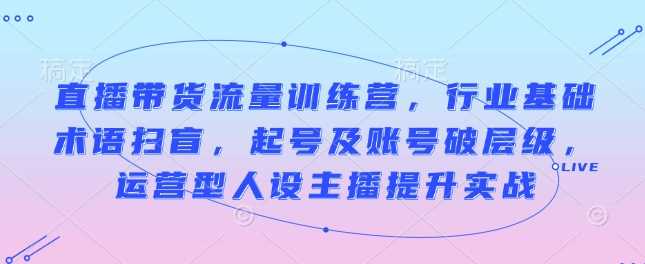 直播带货流量训练营，行业基础术语扫盲，起号及账号破层级，运营型人设主播提升实战-冰妍网