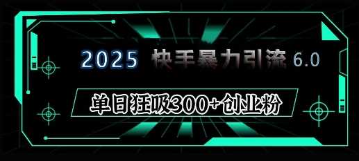 2025年快手6.0保姆级教程震撼来袭，单日狂吸300+精准创业粉-冰妍网