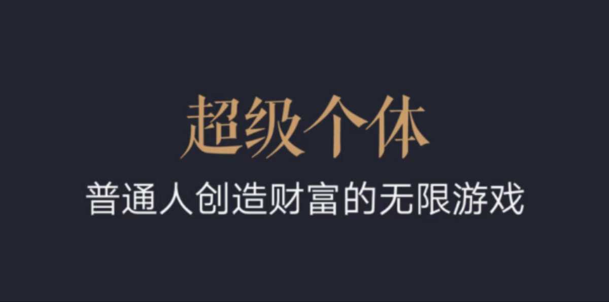 超级个体：2024-2025翻盘指南，普通人创造财富的无限游戏-冰妍网