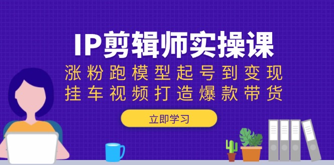 IP剪辑师实操课：涨粉跑模型起号到变现，挂车视频打造爆款带货-冰妍网